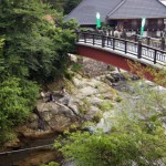川湯温泉仙人風呂に入るスコティッシュテリア。愛犬と一緒に熊野古道を散歩するなんて羨ましい。